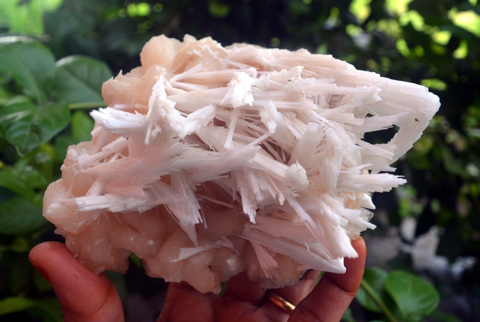 scolecite spray w/ stilbite formation minerals specimen a-8