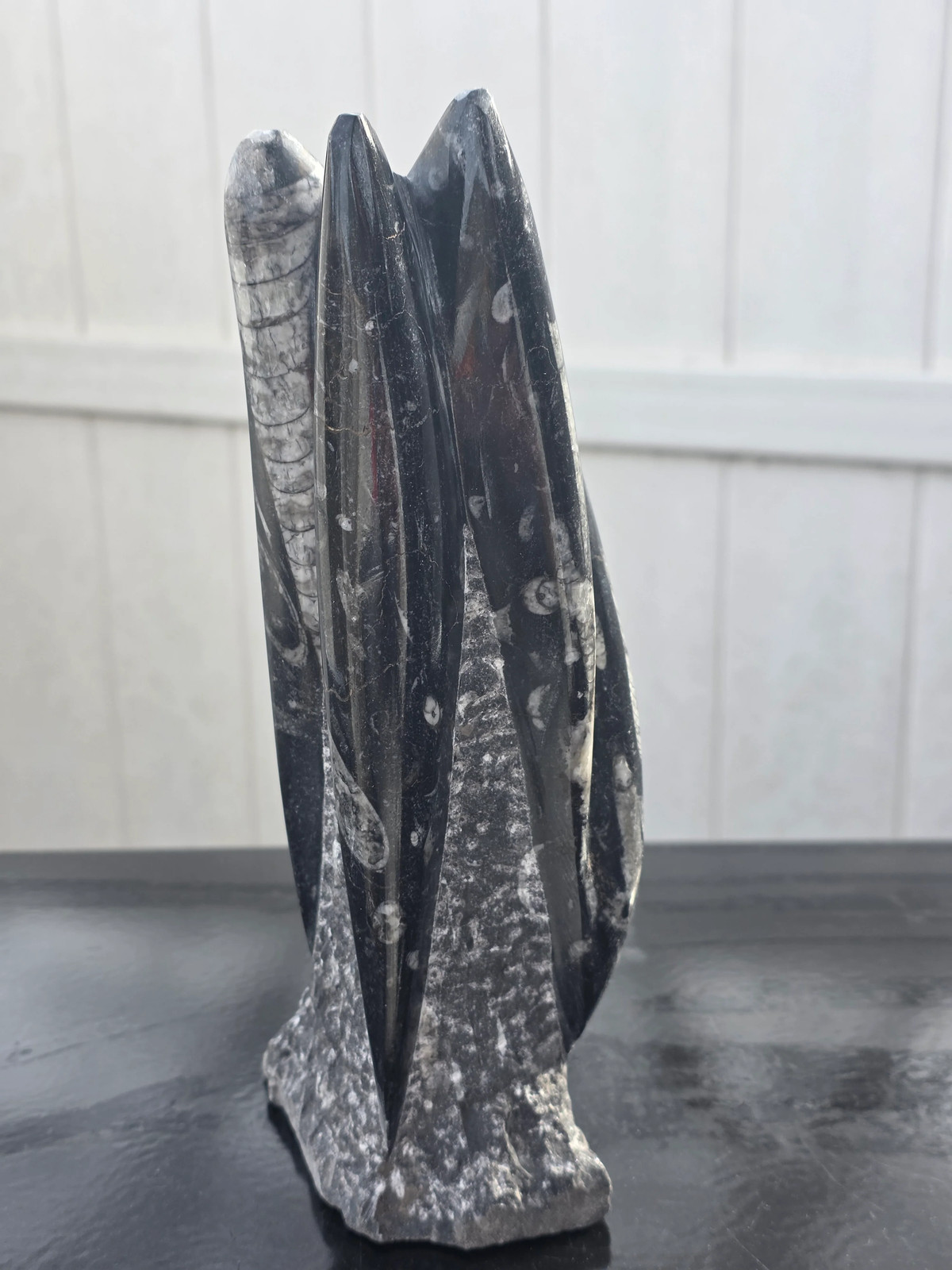 XL orthoceras limestone statue! 4.5 pounds, 9 inches tall, 3.3″ wide