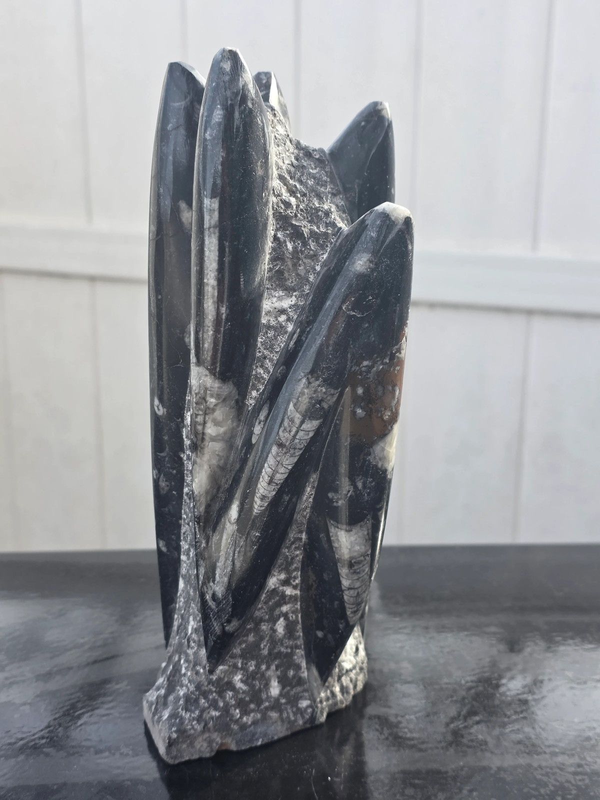XL orthoceras limestone statue! 4.5 pounds, 9 inches tall, 3.3″ wide