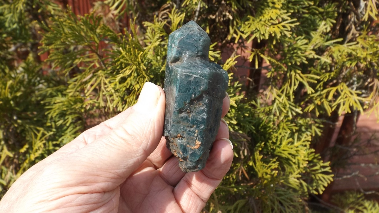 PEACOCK BLUE APATITE CRYSTAL 3″in – 510 carat DOUBLE TERMINATED NATURAL SCEPTER