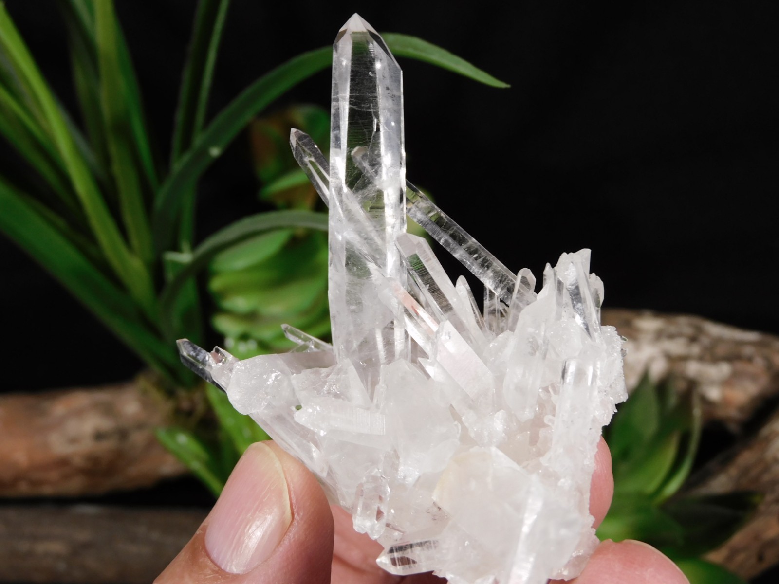 VERY TRANSLUCENT Quartz Crystal Cluster Collier Creek ARKANSAS 44.0gr