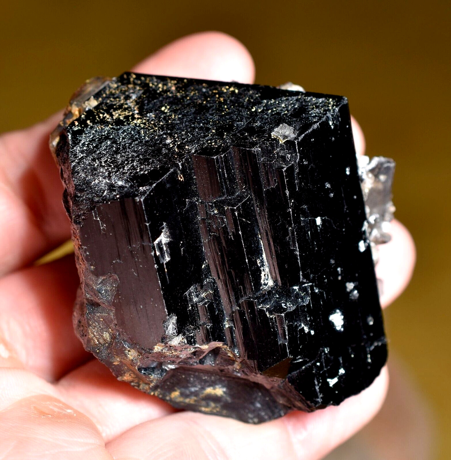 Gemmy Natural Black Tourmaline W Smoky Quartz Crystals Erongo Mountains, Namibia