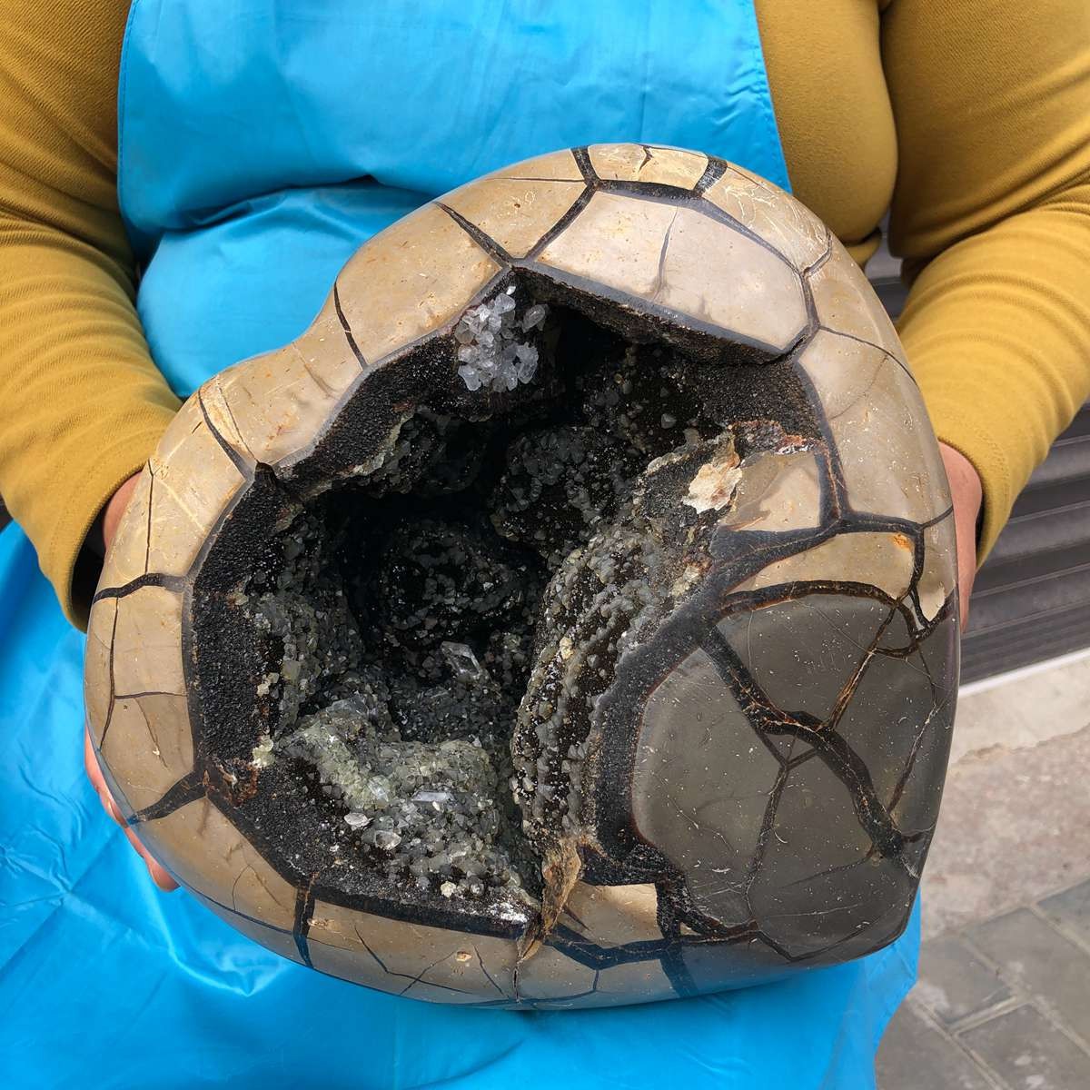 10.9KG Natural Turtle Back Stone Dragon Crystal Cave Crack Gem Healing 4355