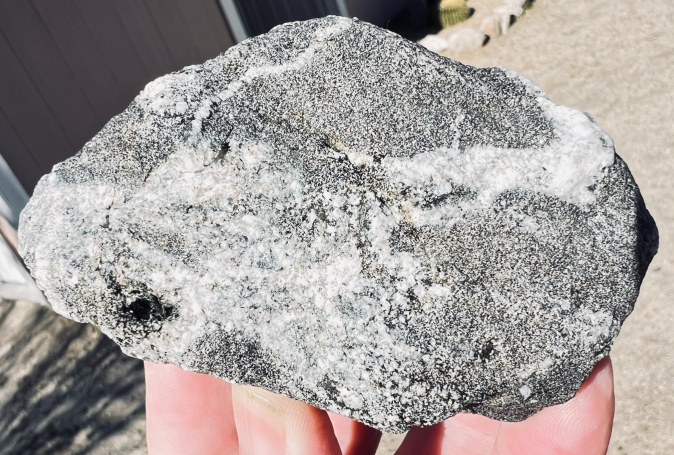 Flashy Mica in Quartz Schist MV CA Layered Black Silver Crystal .9lbs