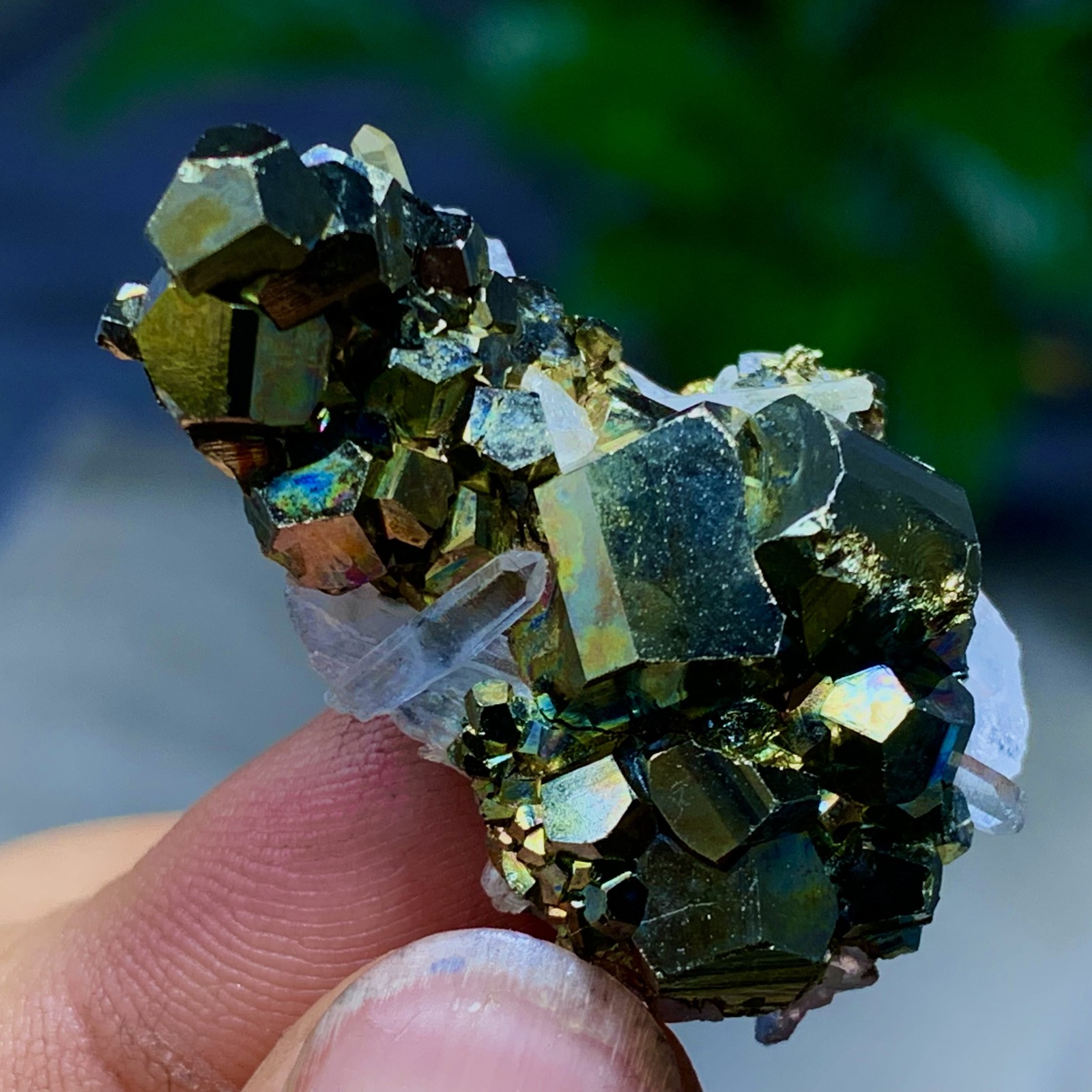13G Natural colorful chalcopyrite clear Cluster coexisting crystal mineral—
