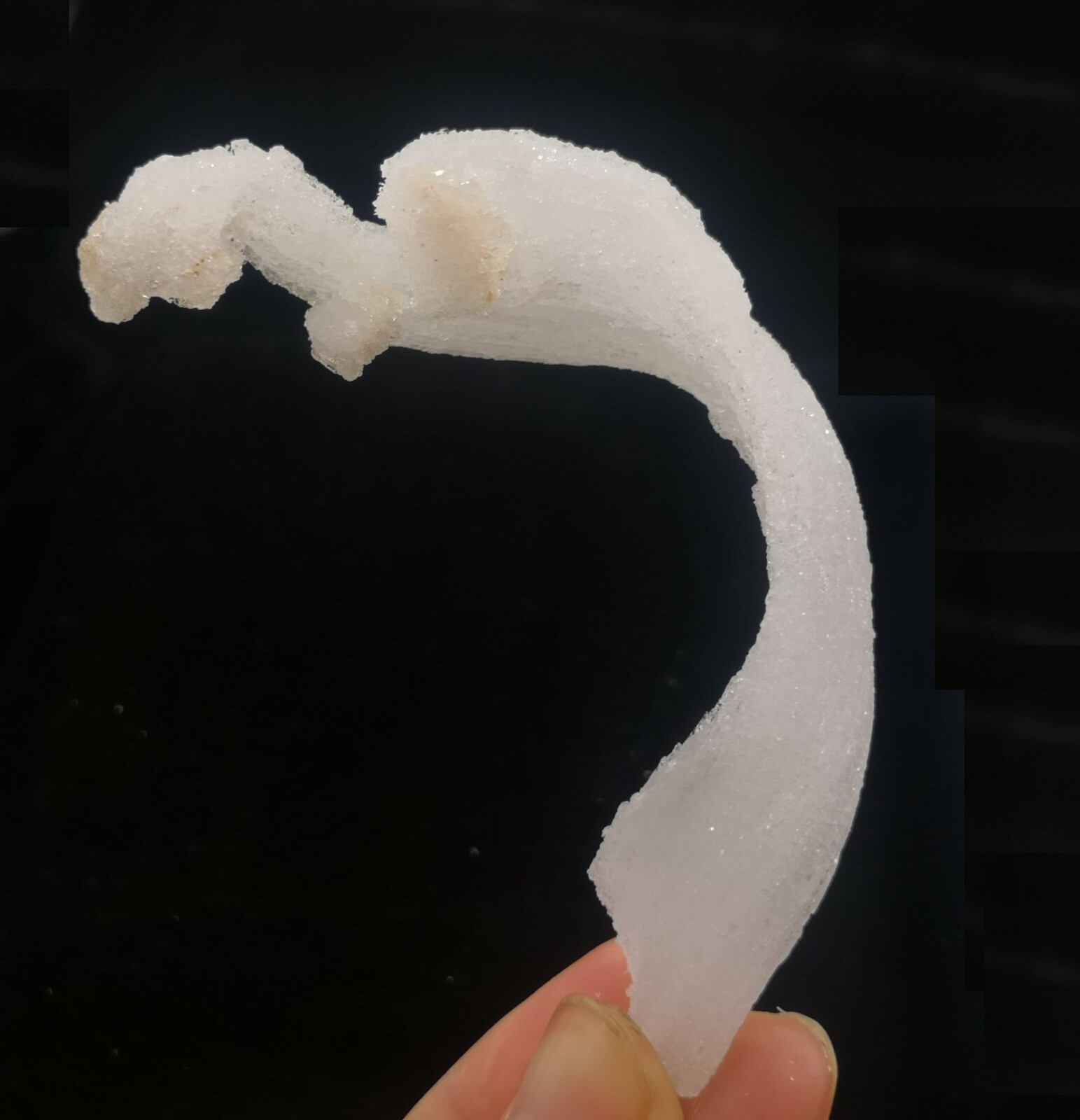 83mm FLUORESCENT ‘Ram’s Horn’ shape Selenite (Gypsum), Natural Mineral Specimen