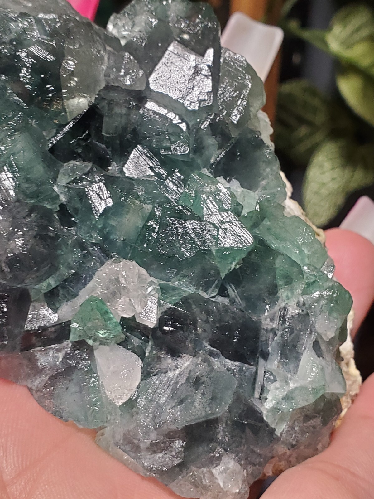 194G Green Cubic FLUORITE Crystal Cluster Mineral Specimen