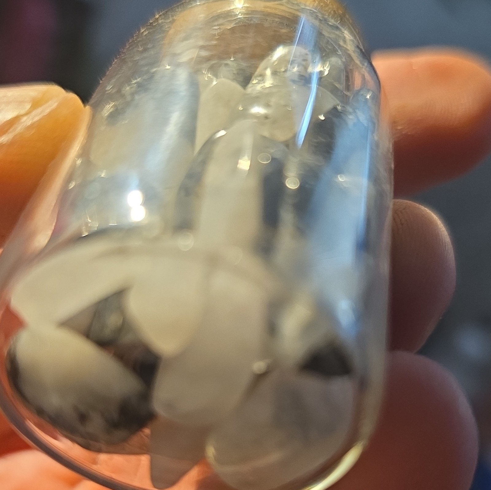 Rainbow Moonstone Tumbled Chips Small Glass Corked Vial Bottle, Labeled