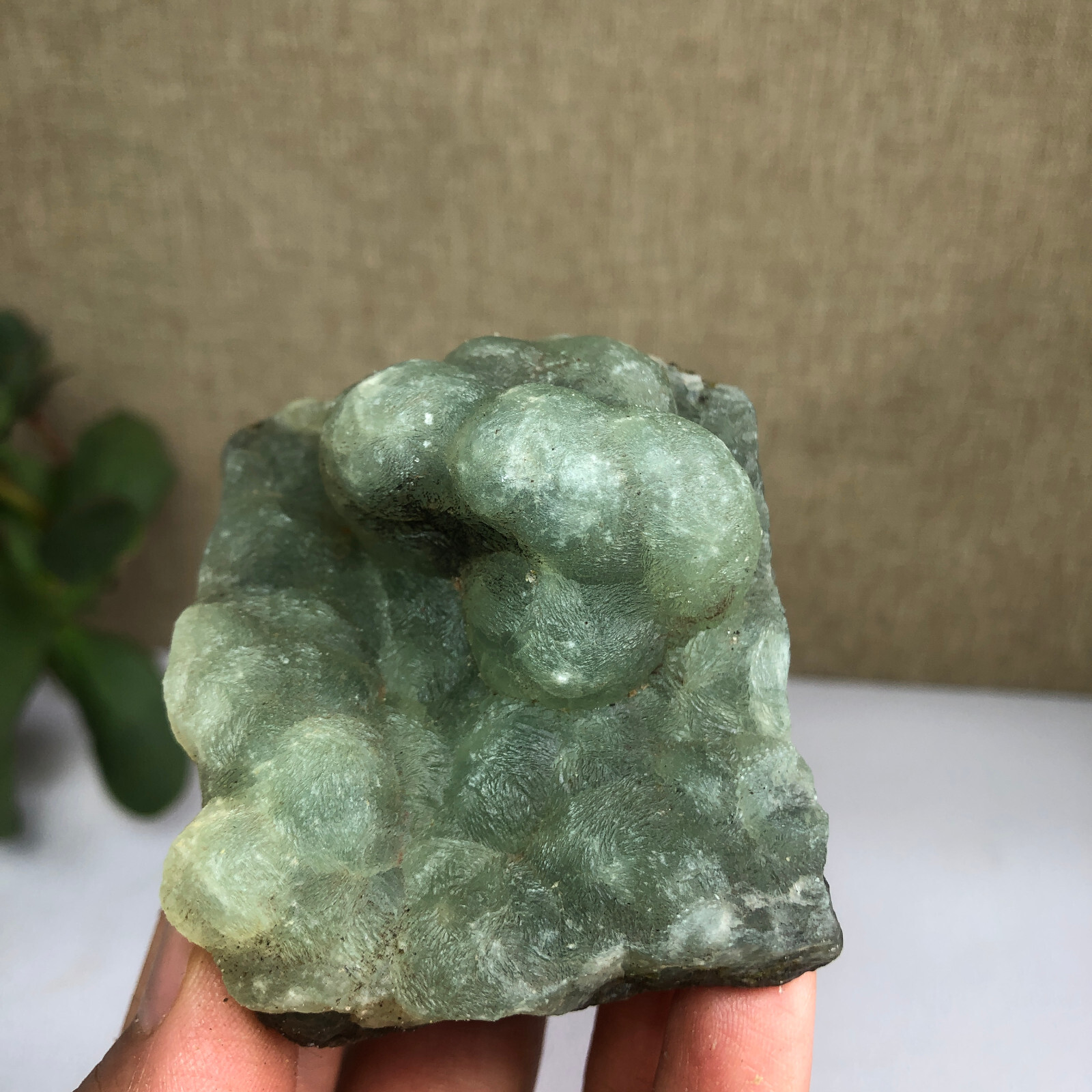 Natural grape Prehnite Tourmaline paragenesis Crystal specimens 180g A6846