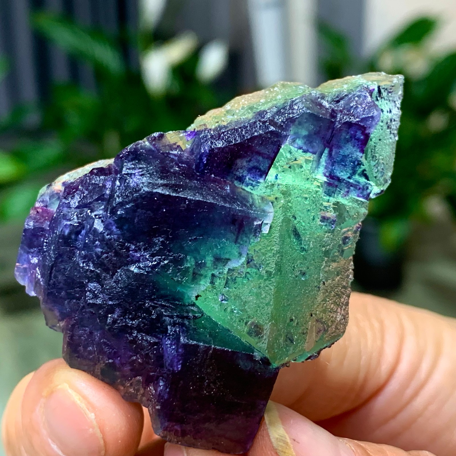 50G Rare transparent green purple cubic Zhejiang fluorite mineral sample