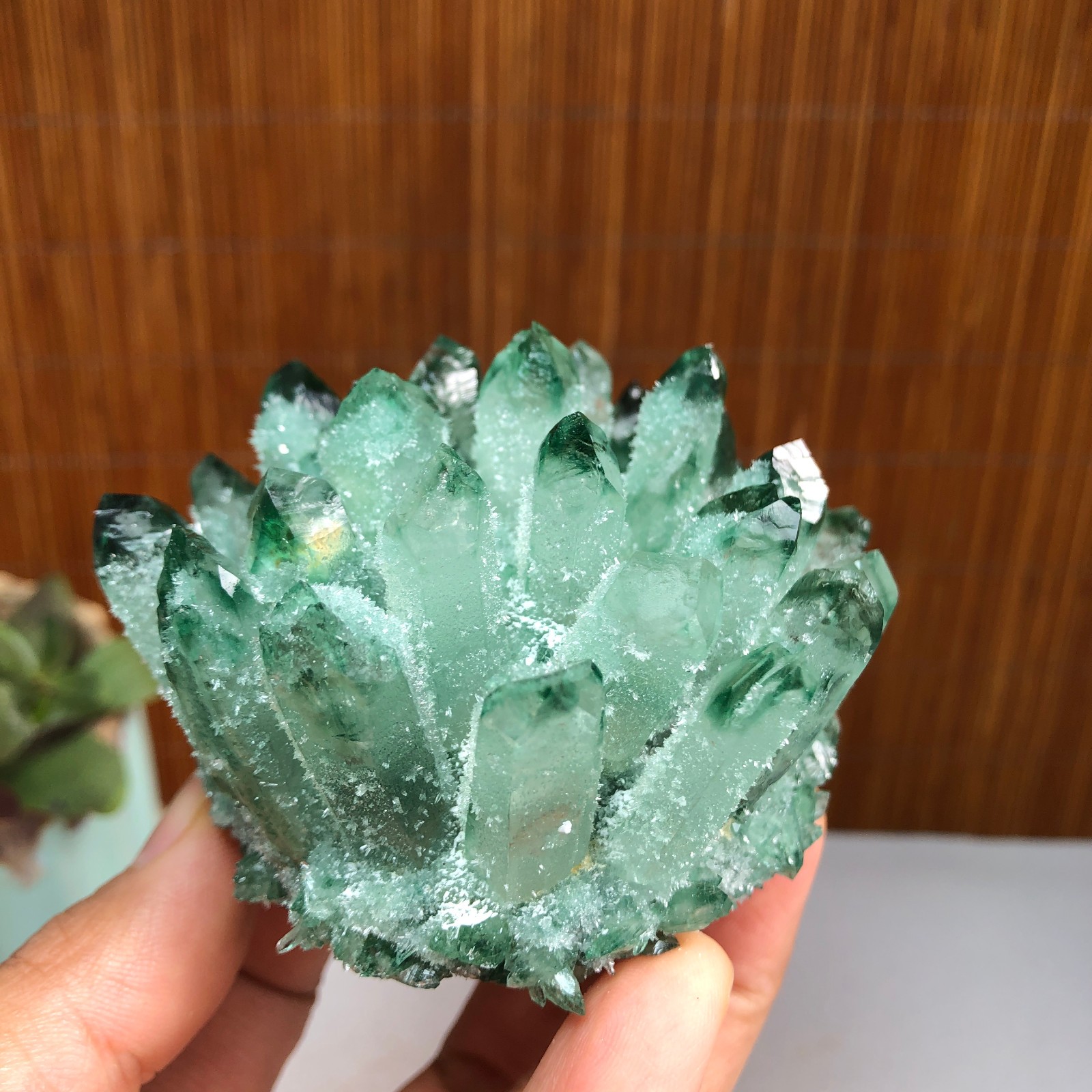 New Find Green Phantom Quartz Crystal Cluster Mineral Specimen 224g A1491
