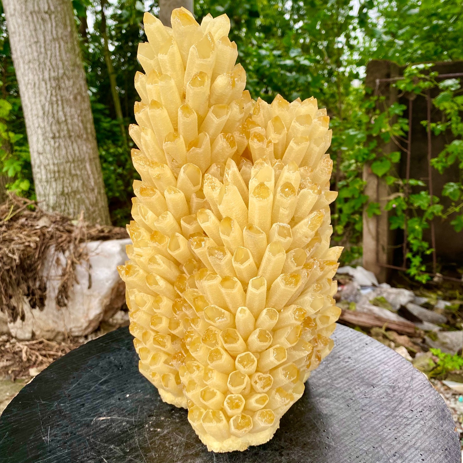 21.9LB New find yellow Phantom Quartz Crystal Cluster mineral samples