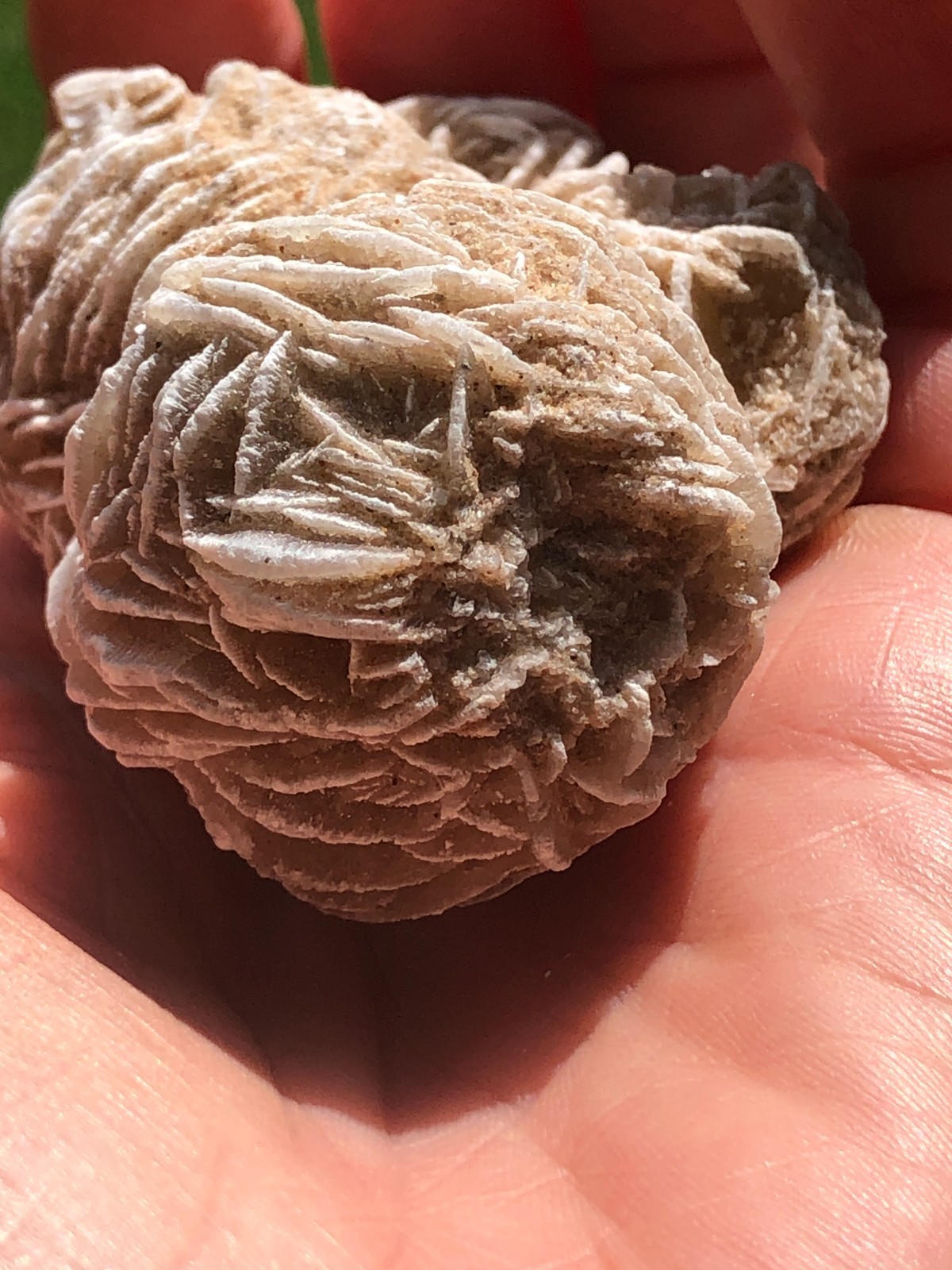 DESERT ROSE SELENITE GYPSUM Crystal Cluster Mineral Specimen 170.6 Grams For All