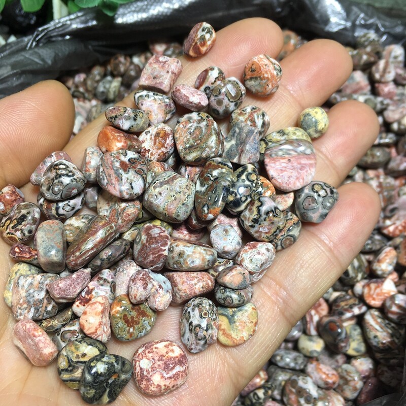 50g Leopard stone polish Tumbled stone healing reiki small size 4-9mm