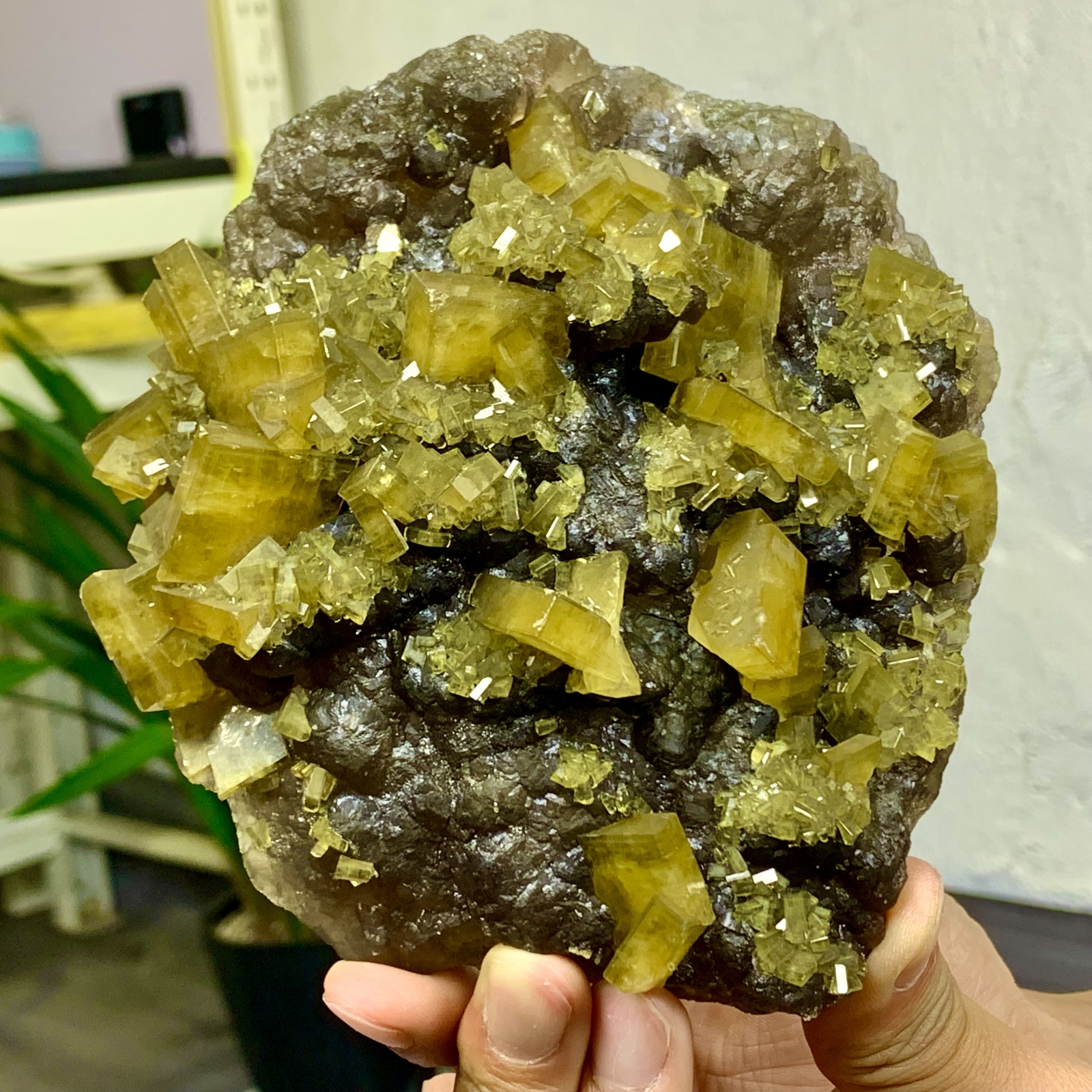 2.76LB Shiny Golden Cuboid Barite Crystal Based on the Purple Spherical Fluorite