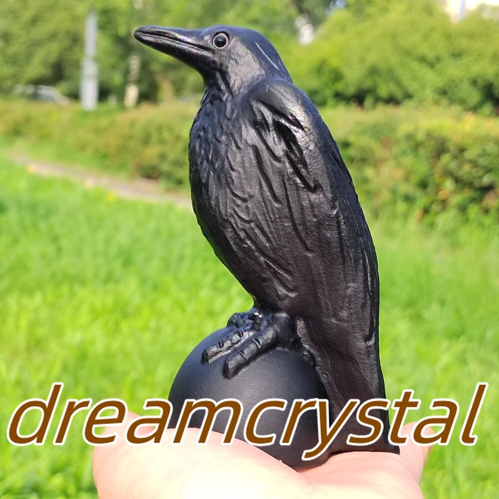 4.6″ Natural Obsidian Bird Skull Carved Quartz Crow Crystal Skull Raven 1pc