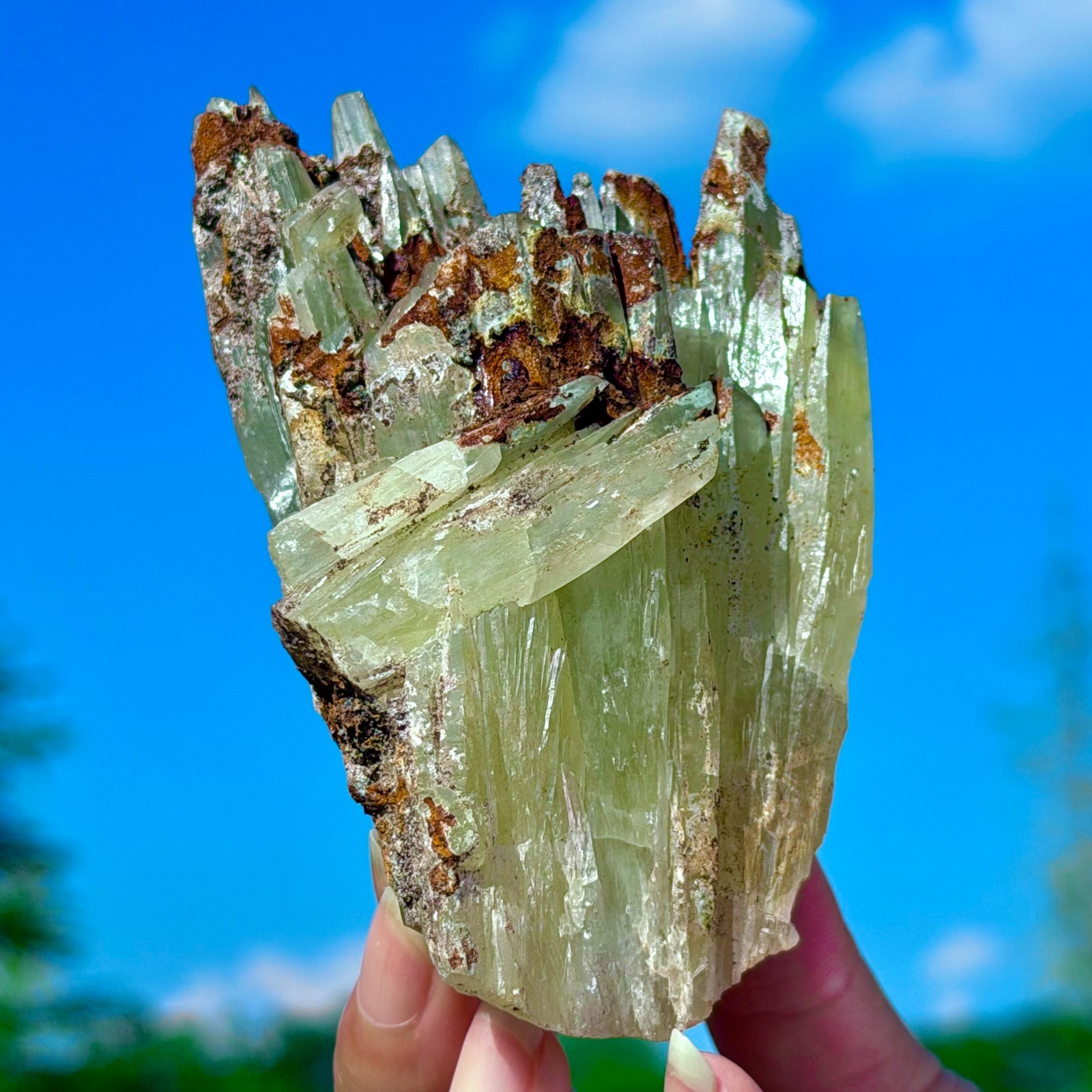 354G Natural Yellow-Green Calcite Crystal Gem Quartz Points Mineral Specimens