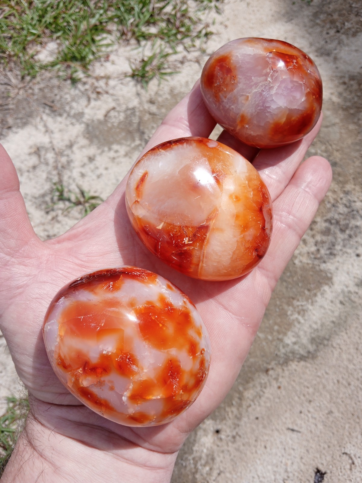Lot of 3 Polished Carnelian Agates! Crystal Mineral Specimens! 1 Pound! Q3
