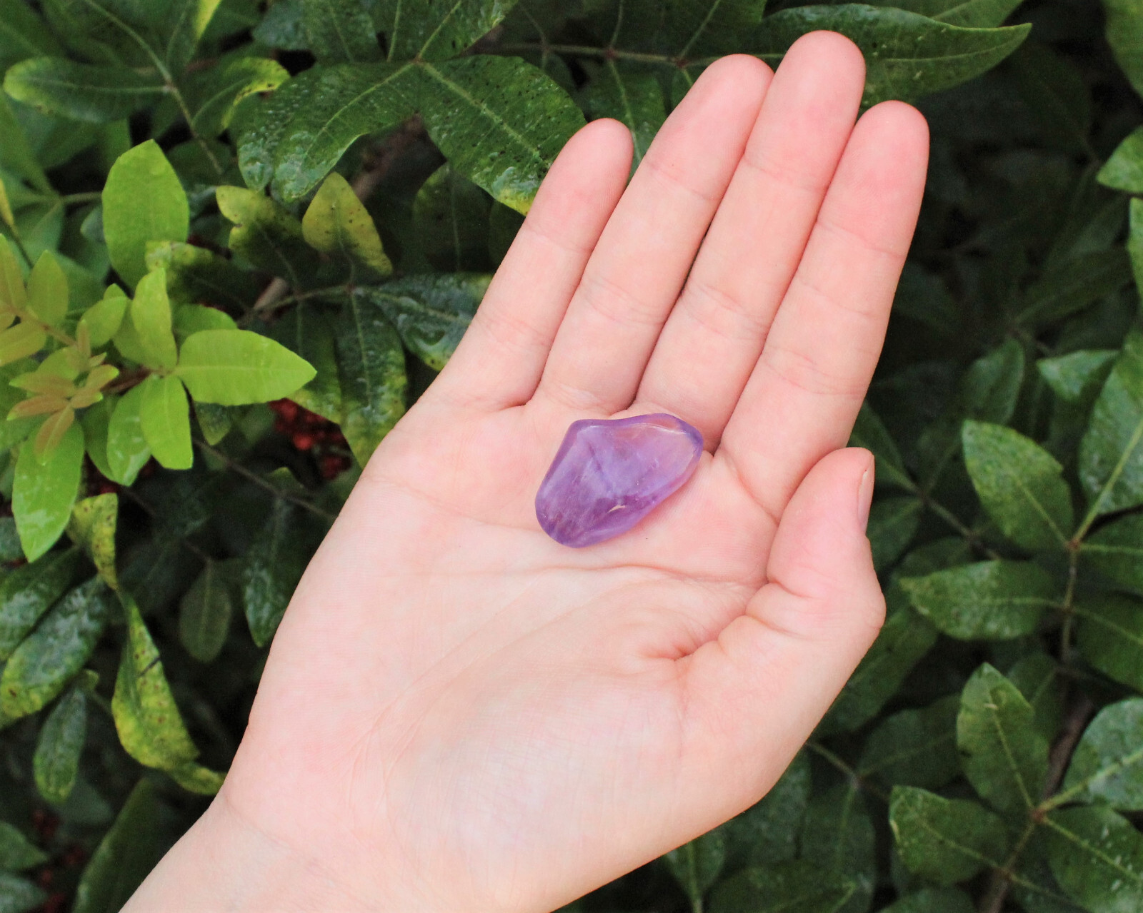 7 Chakra Tumbled Stones, Instructions & Carry Pouch (Crystal Healing Stone Set)