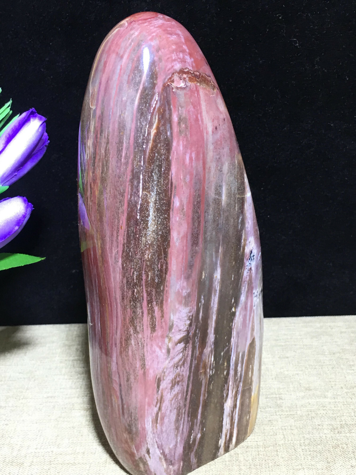 172mm Ocean Stone Polished Petrified stone stone original specimen decor 937g