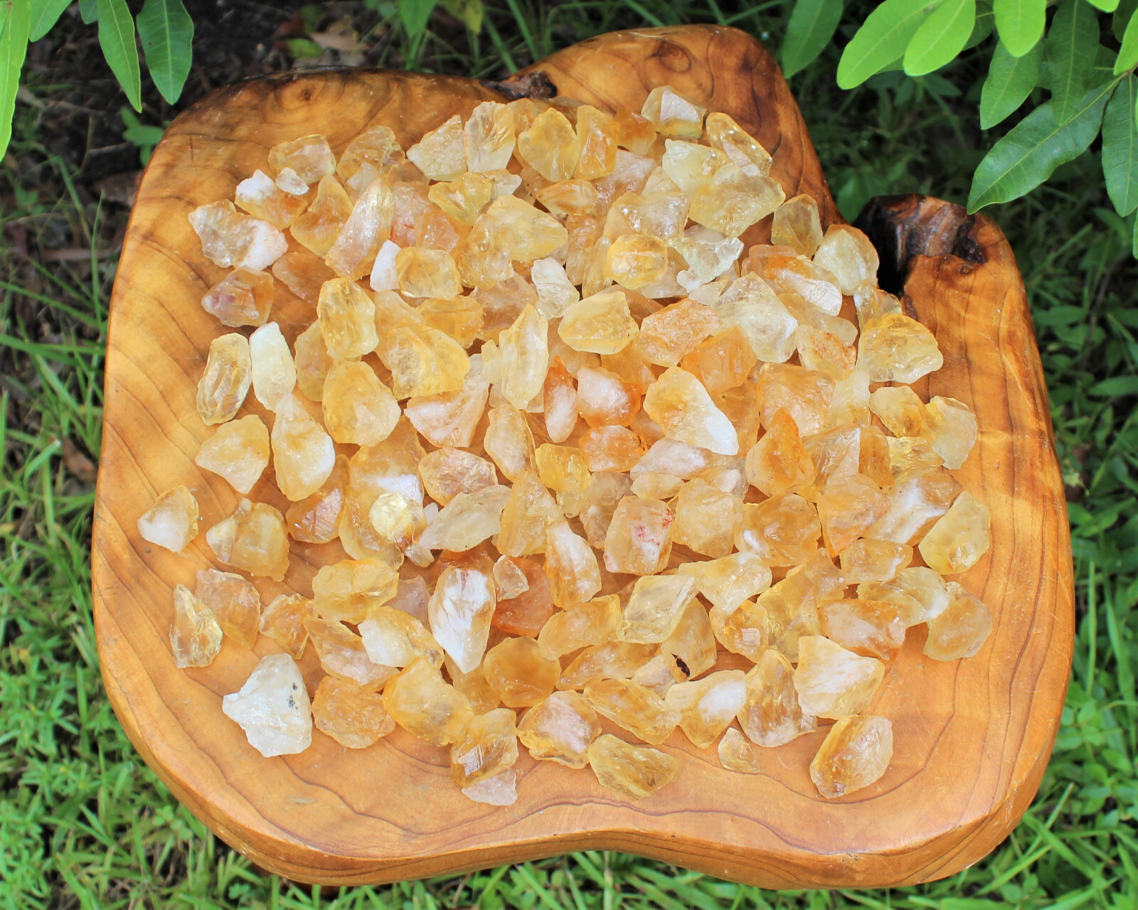 Rough Citrine Crystals CHIPS: 1000 Carat Lot Raw (Loose Crystals 200 Grams)