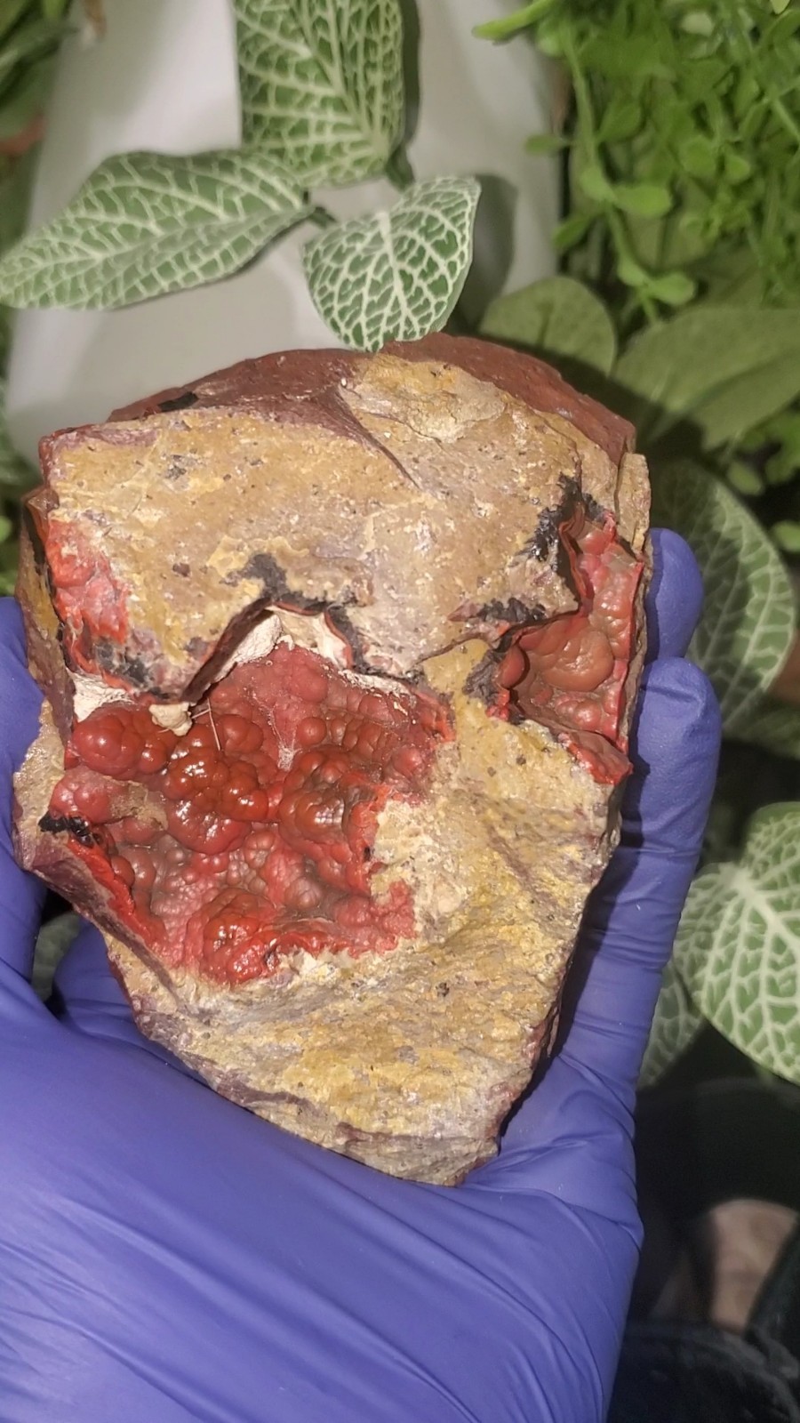 Volcanic red agate , Warring state agate Mexico 332g