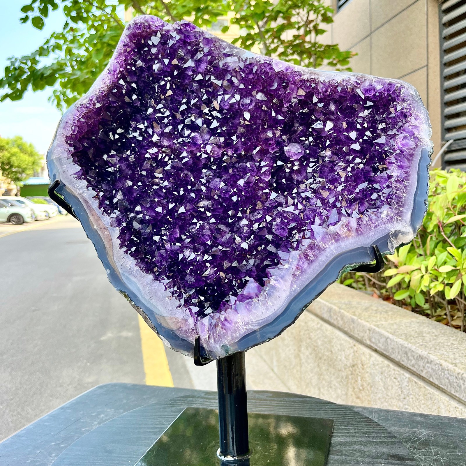 35.05LB Natural Brazilian high-grade amethyst thin skin large teeth