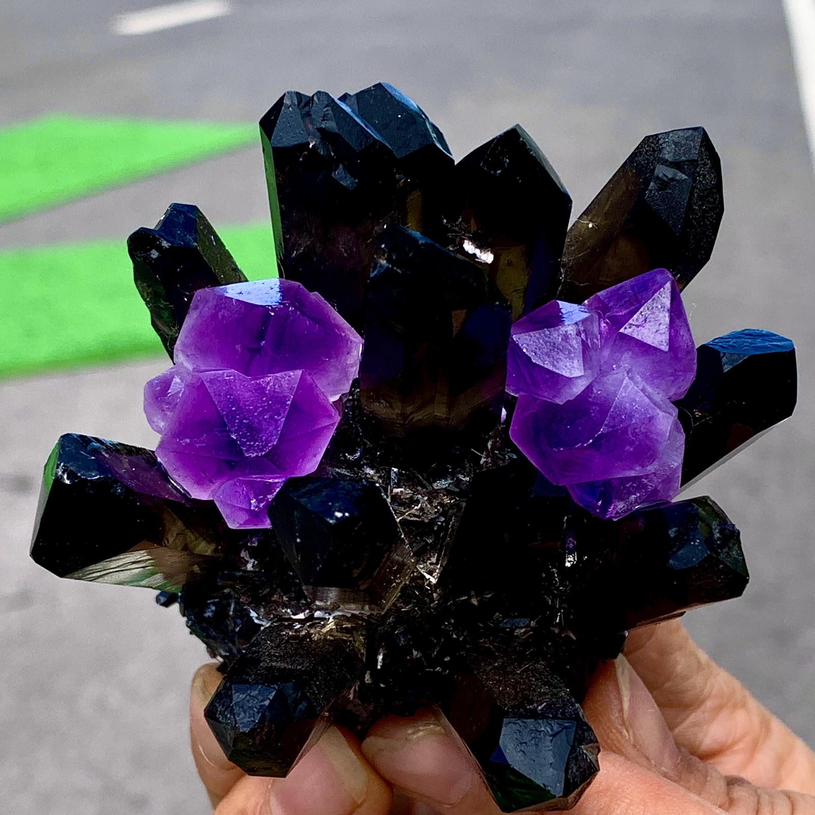 268G New Find black+purple Phantom Quartz Crystal Cluster Mineral Specimen