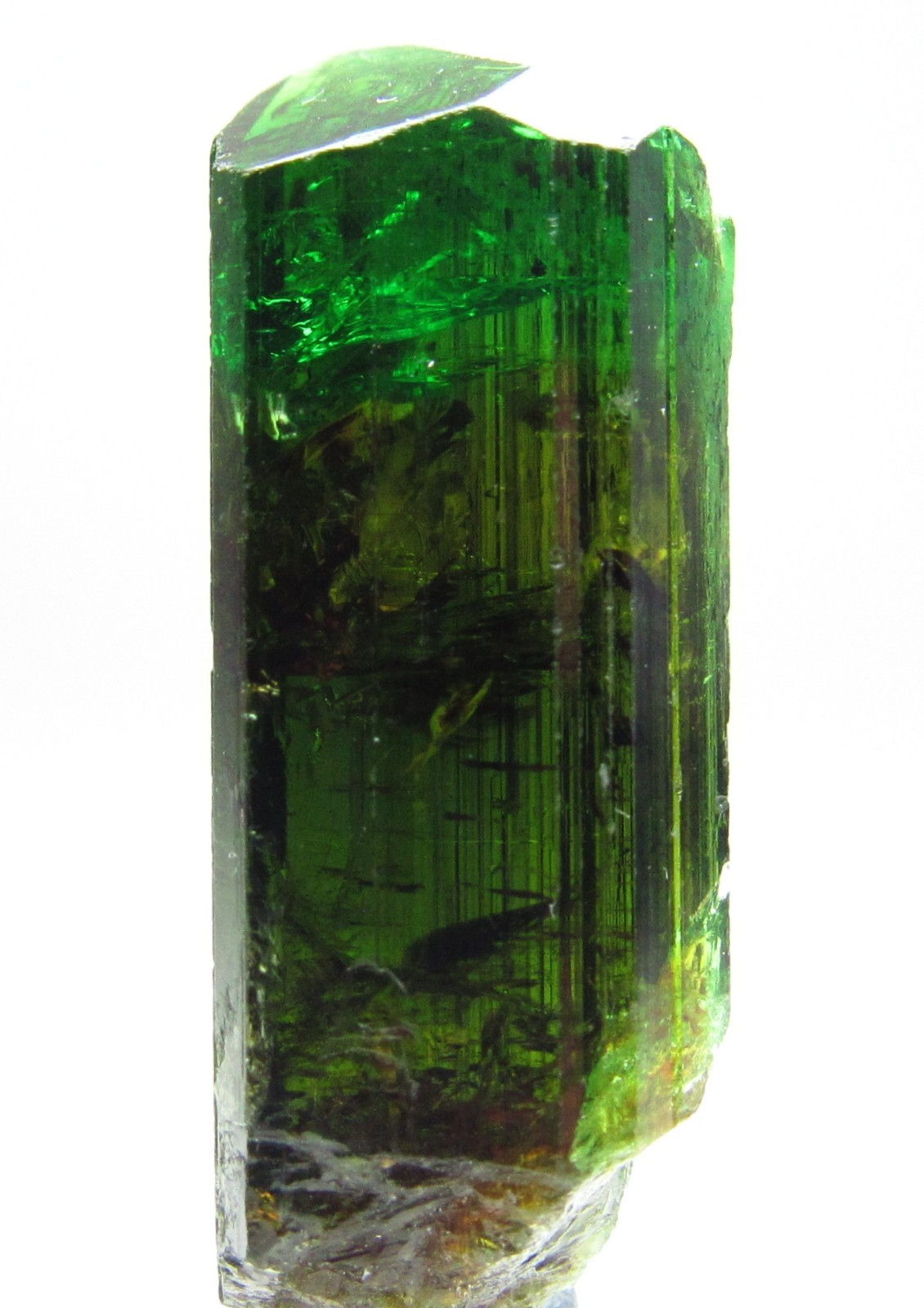 EXTRAORDINARY ELECTRIC GEM CHROME TOURMALINE!!!COMMANDER MINE TANZANIA 10 GRAMS