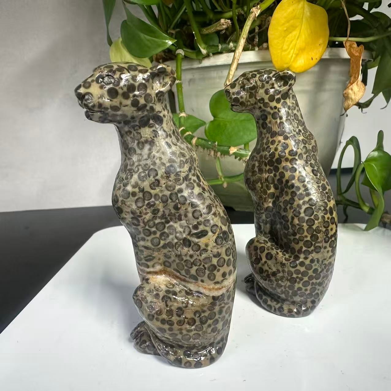 1pc Natural Money Leopard Stone Quartz Carved Leopard Skull Crystal Reiki Decor