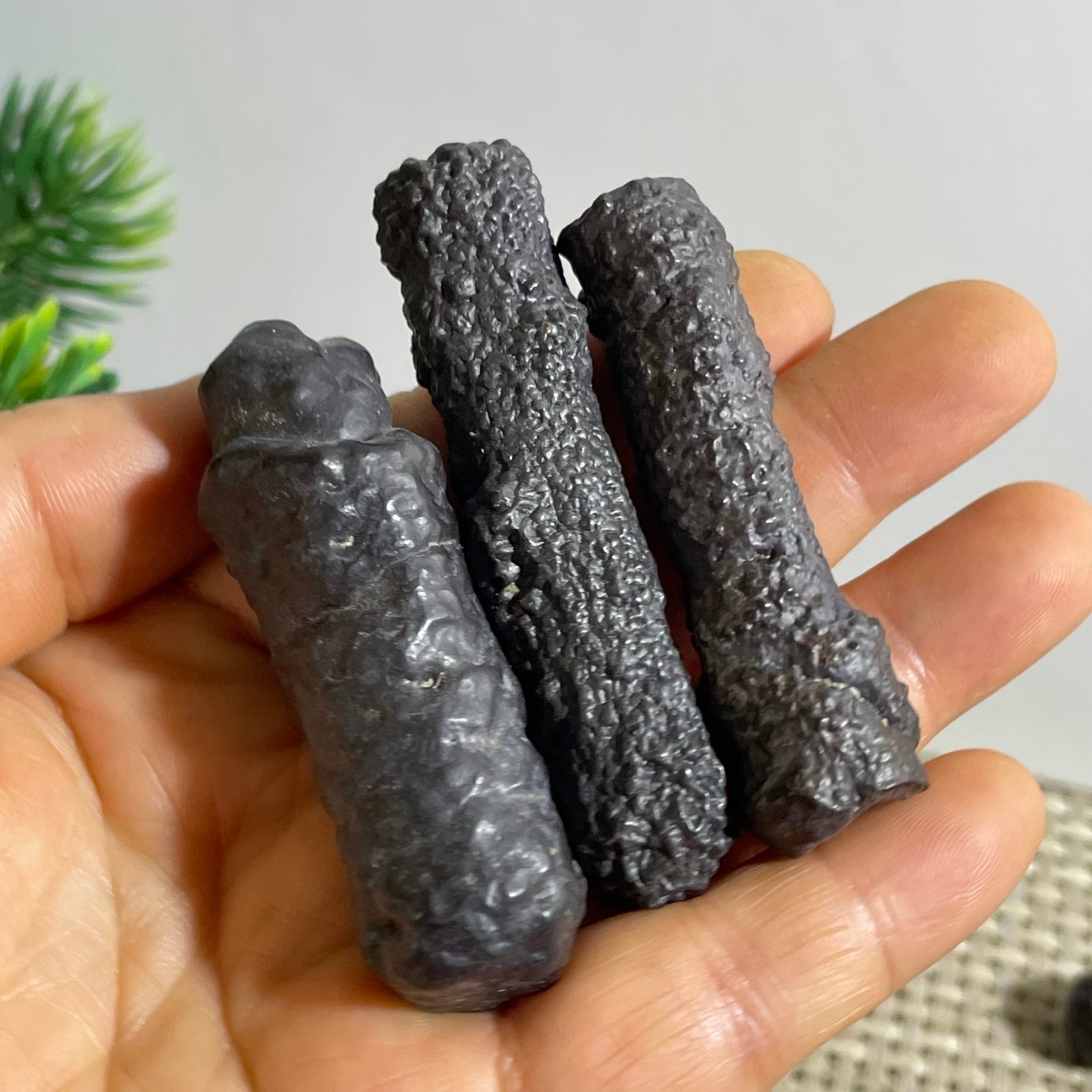 106g Limonite & Hematite pseudomorph after Marcasite Prophecy Rock Stone 3pcs