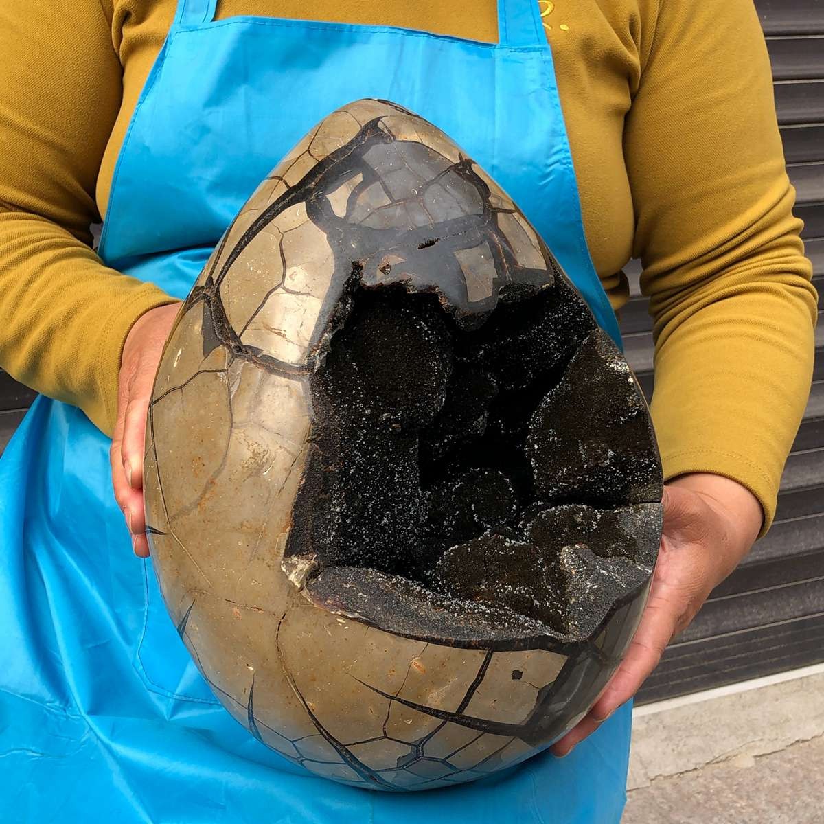 16.89KG Natural Turtle Back Stone Dragon Crystal Cave Crack Gem Healing 4358