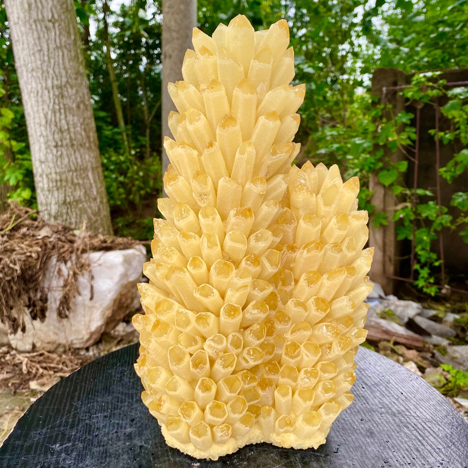 21.9LB New find yellow Phantom Quartz Crystal Cluster mineral samples