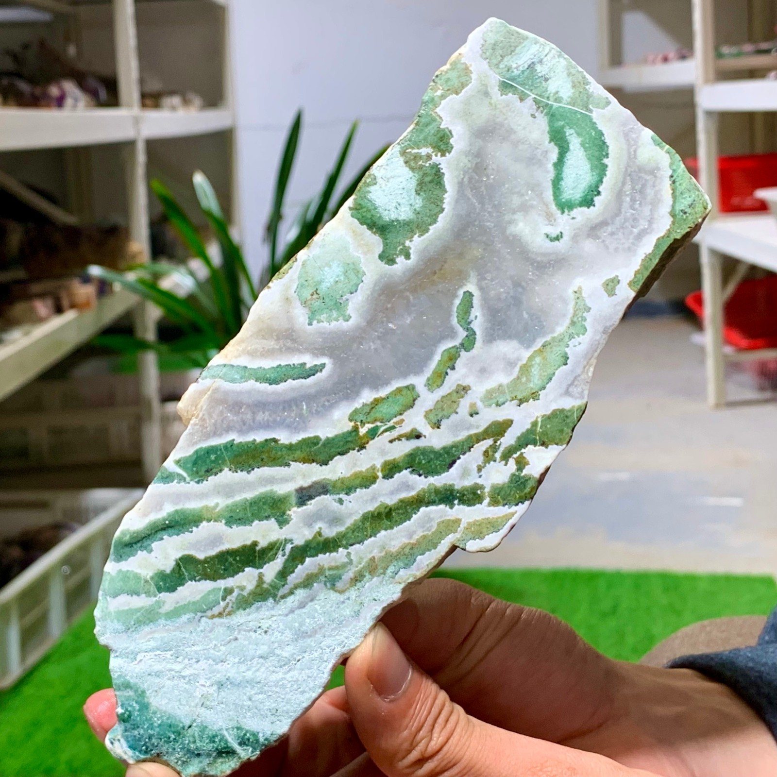 300G Natural green moss agate crystal raw stone flakes quart specimen