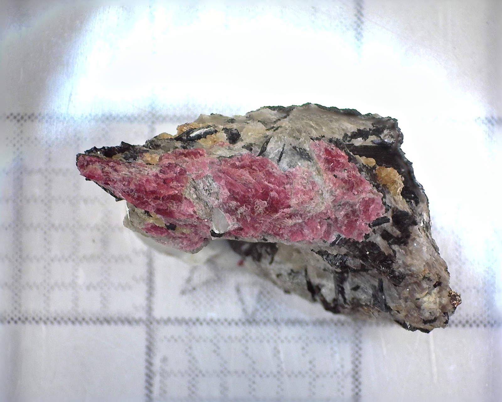 05147 MM Eudialyte MD002662 Rasvumchorr Mt Khibiny Massif Russian Federation