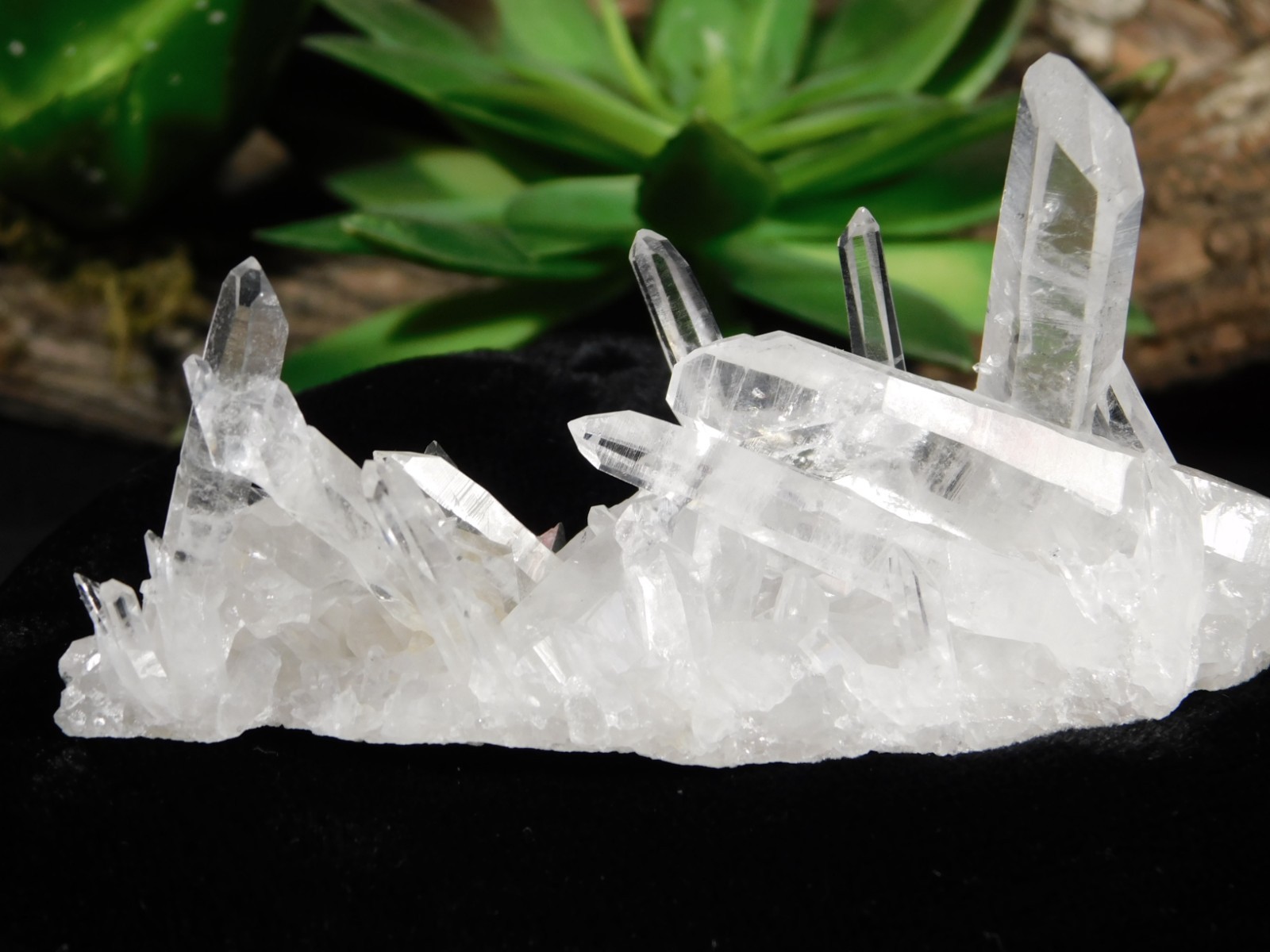 VERY TRANSLUCENT! Quartz Crystal Cluster Collier Creek ARKANSAS 61.5gr