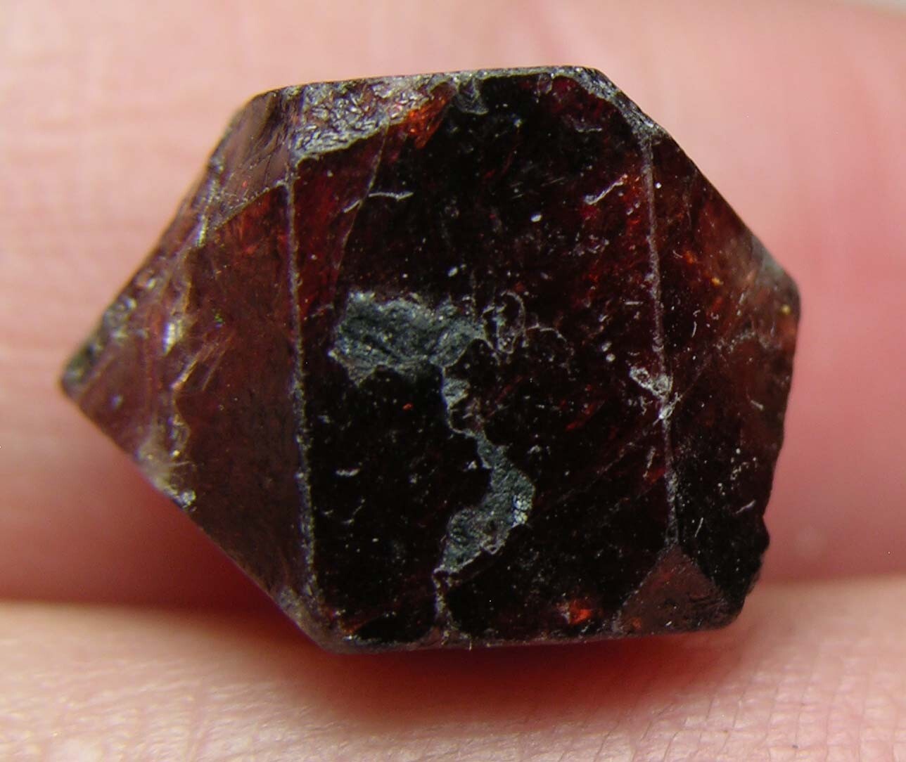 #35 Afghanistan 15.3ct Natural Octagonal Brownish Red Zircon Specimen 3.05g 13mm