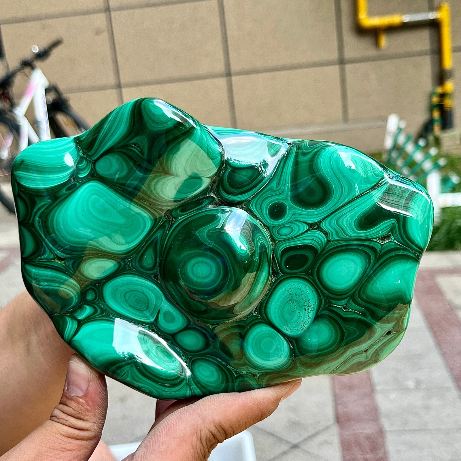3.1 lb Natural Malachite Semi-Polished Freeform Crystal Mineral Specimen