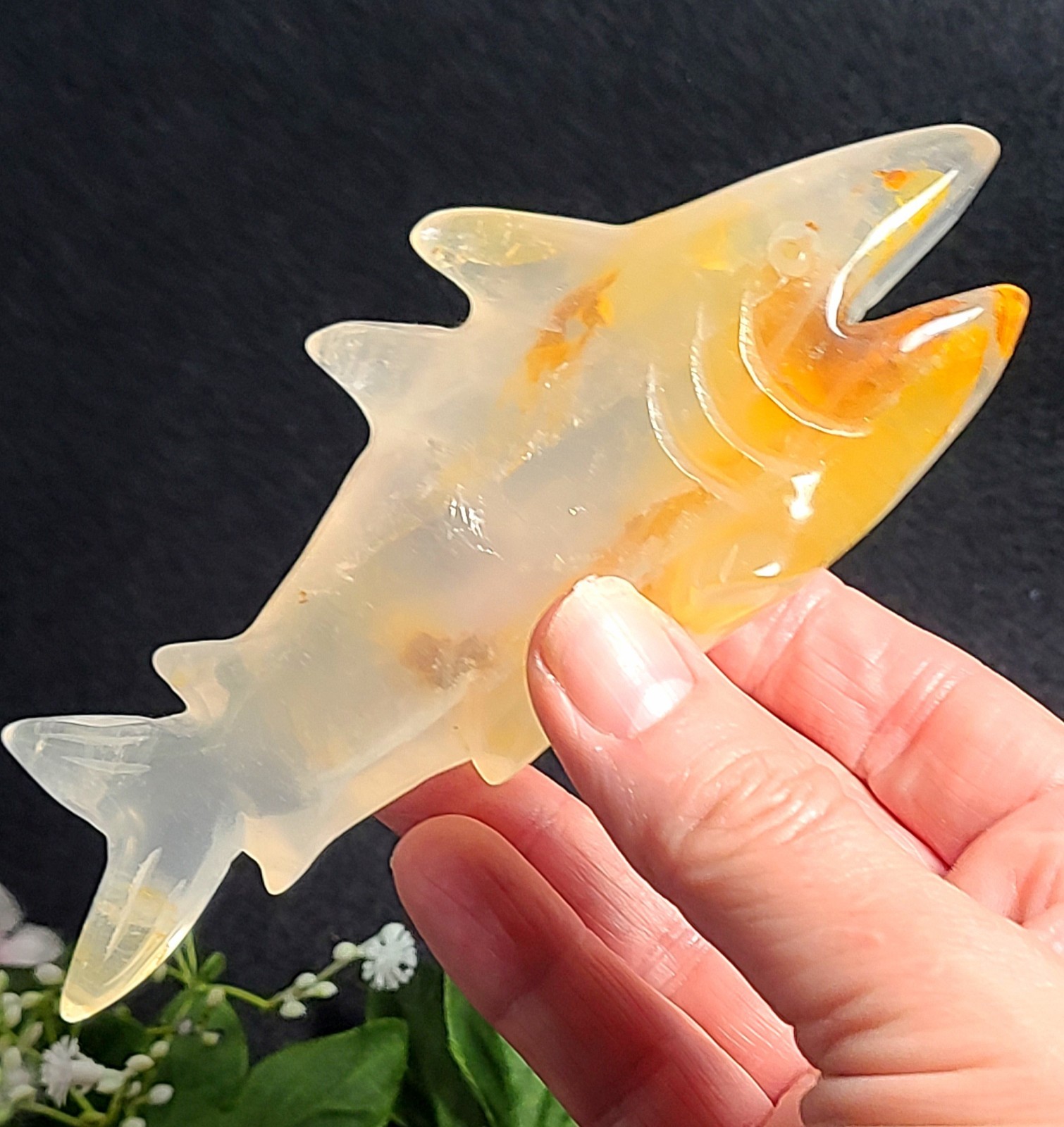 X Large 5.6″ Unique 252g Golden Healer Quartz Shark Sea Crystal Carving