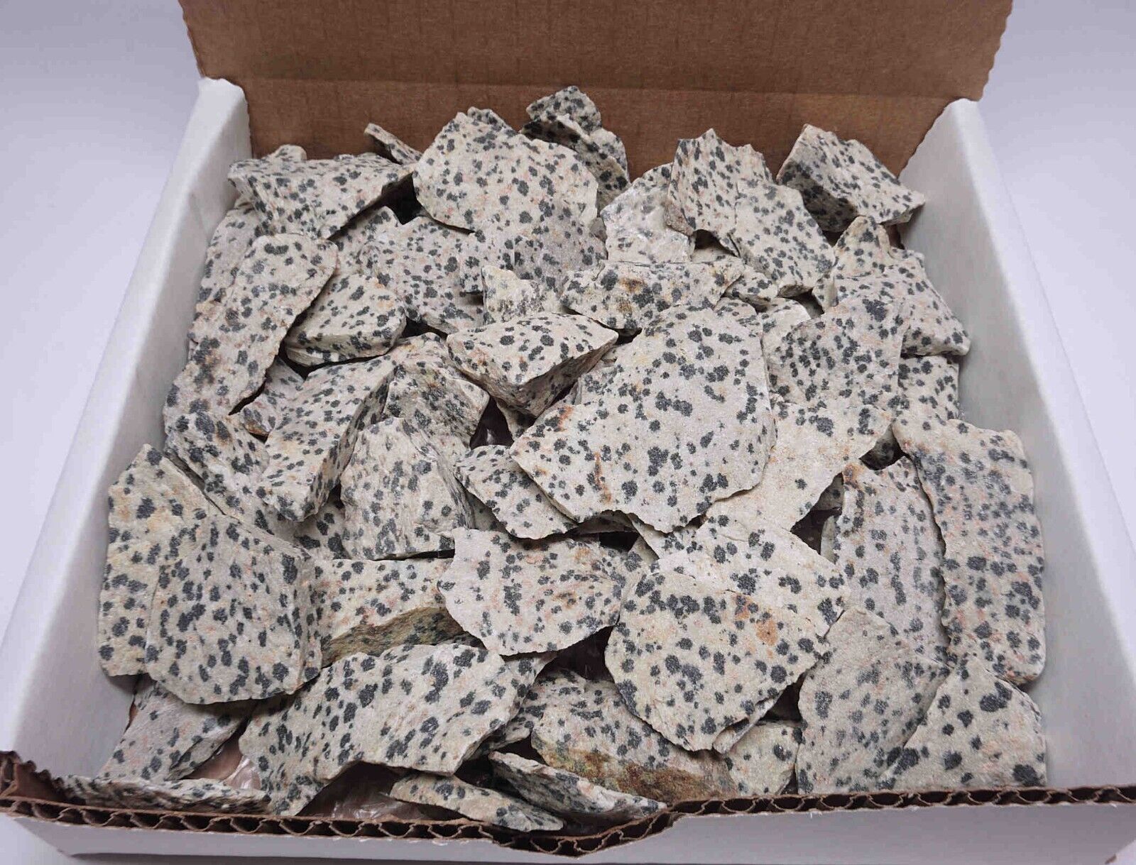 Dalmation Jasper Collection 1 LB Natural Black & White Mineral Specimens