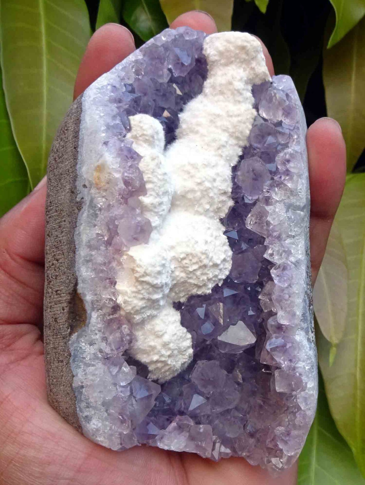 STUNNING OKENITE CLUSTERS ON AMETHYST BASE # 384