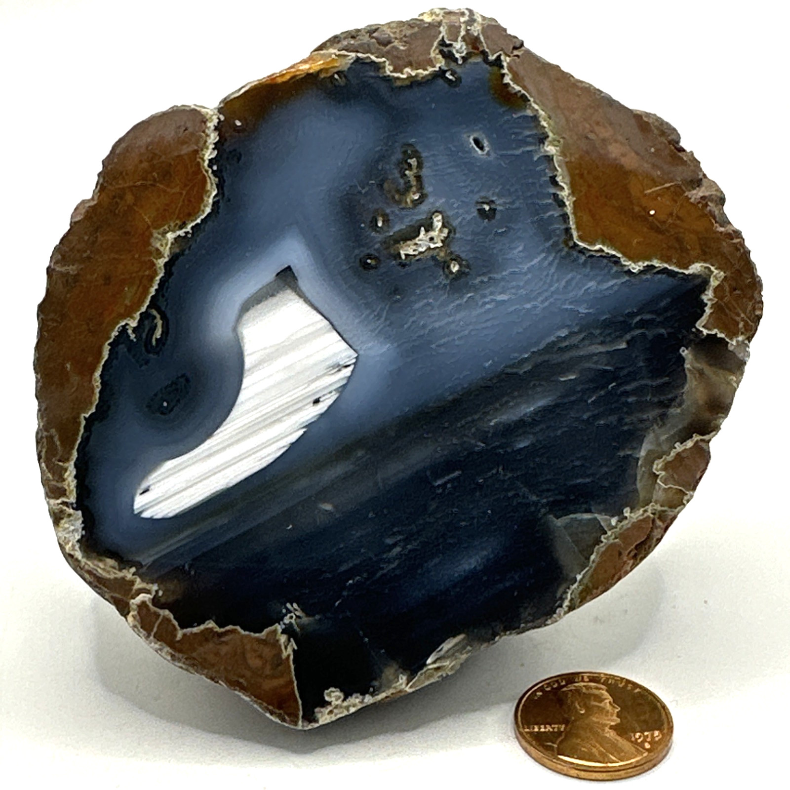 AMAZING Polished Solid Thunder Egg Geode Half 341 Grams