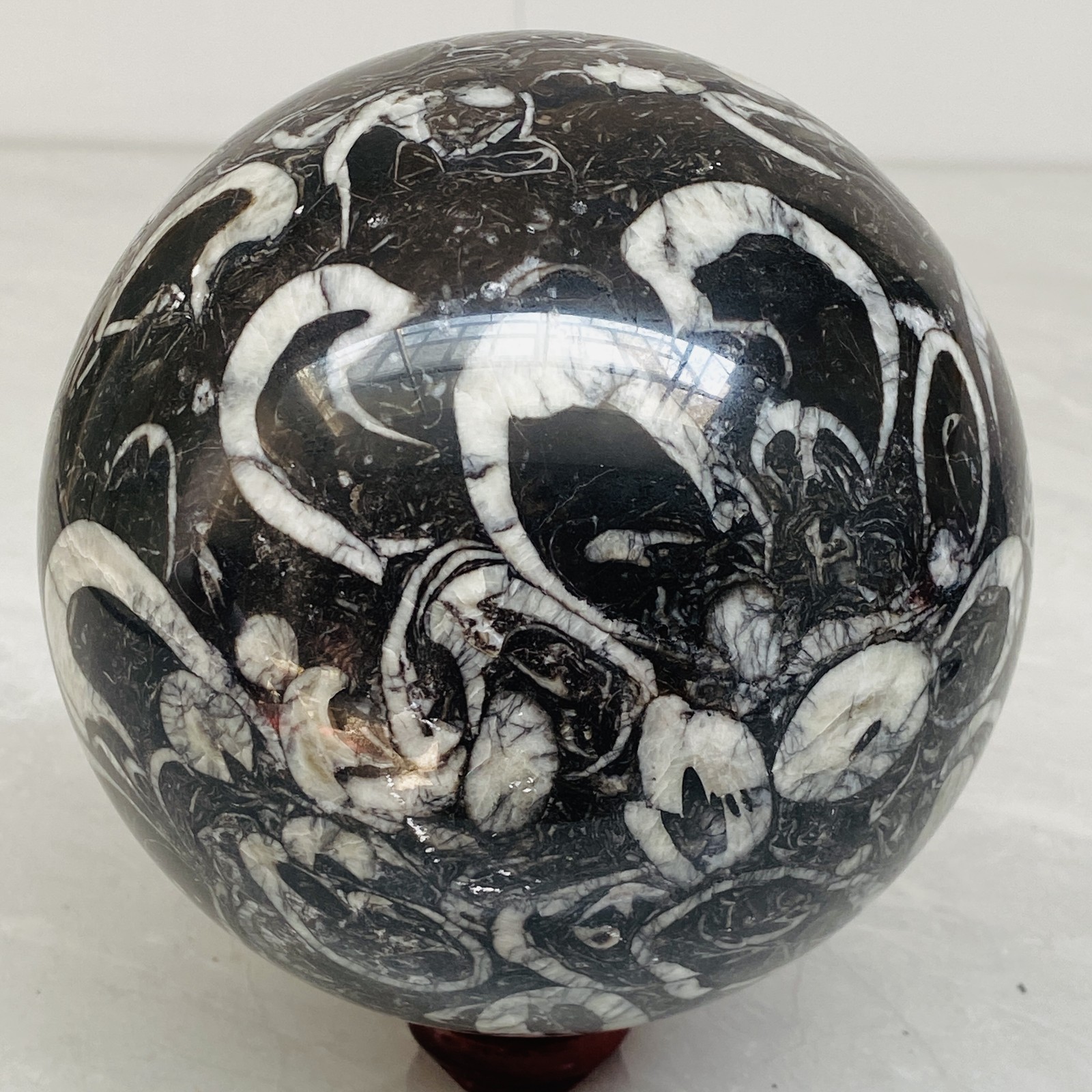 Natural Shell Jasper Thousand Eye Stone Crystal Polished Ball Healing (7.62LB)