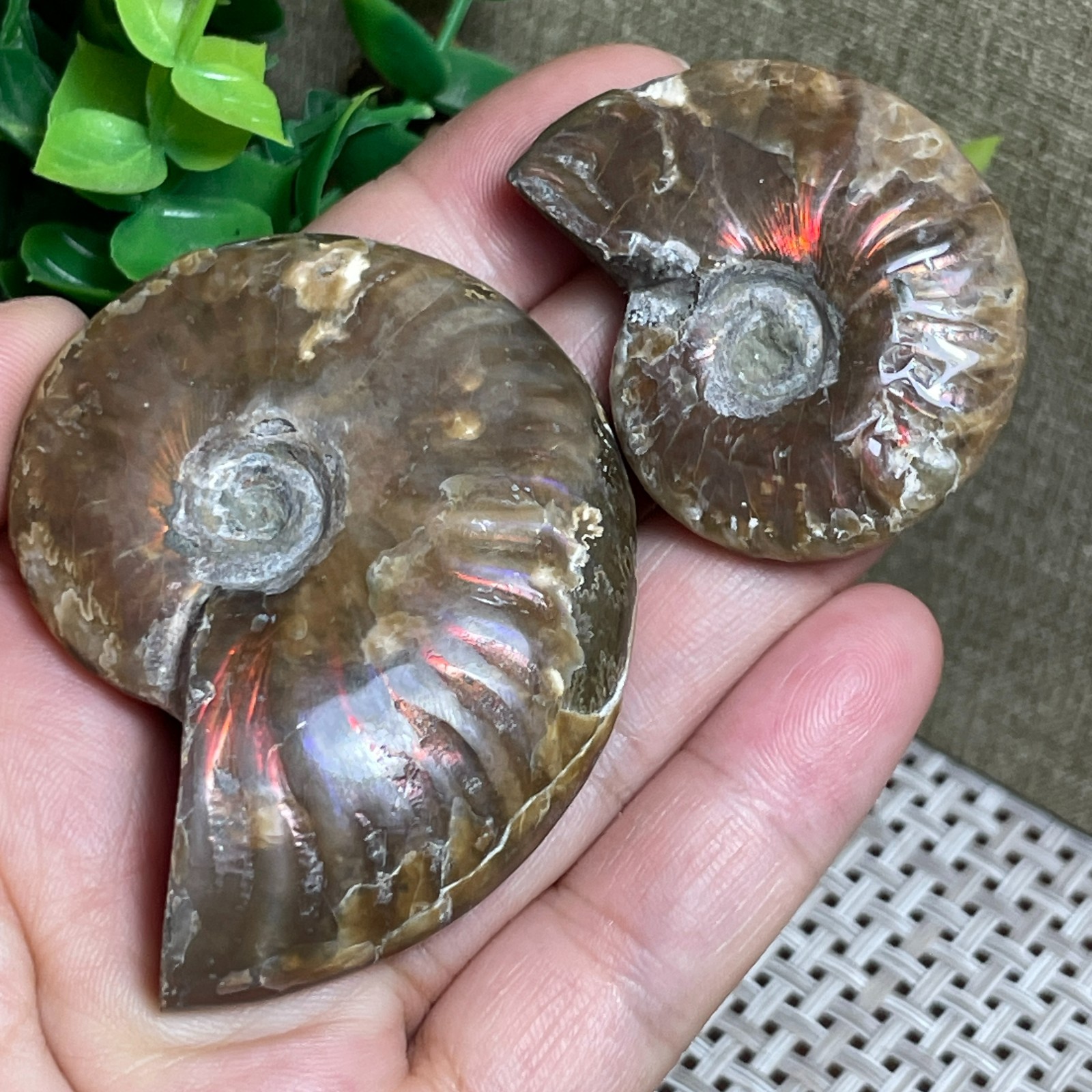 2pcs Rainbow Iridescent polishing Stone sculptor decoration specimens 89g