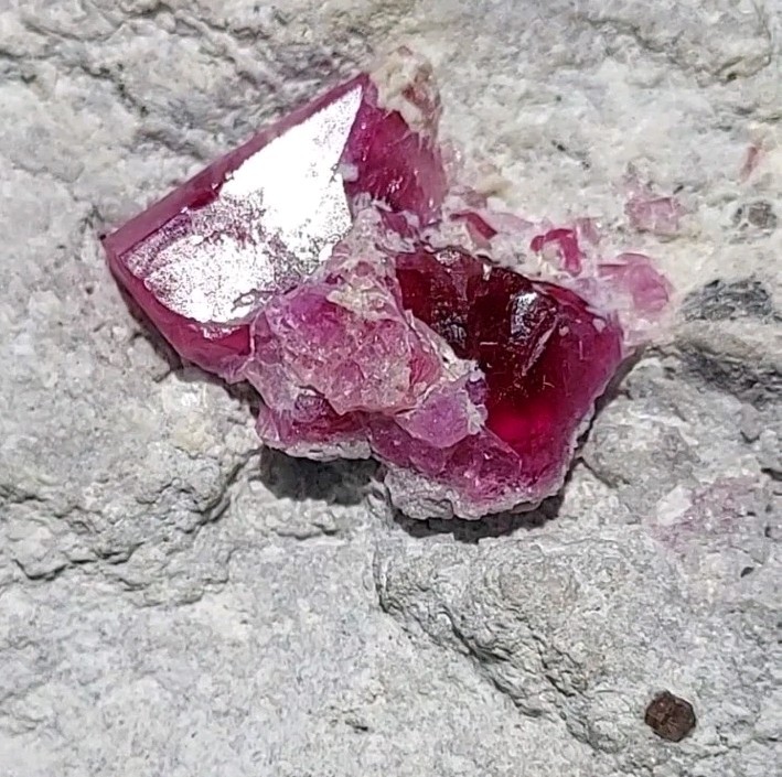 ULTRA GEM FACET GRADE SECTIONS LARGE RED BERYL / BIXBITE ON MATRIX UTAH, USA