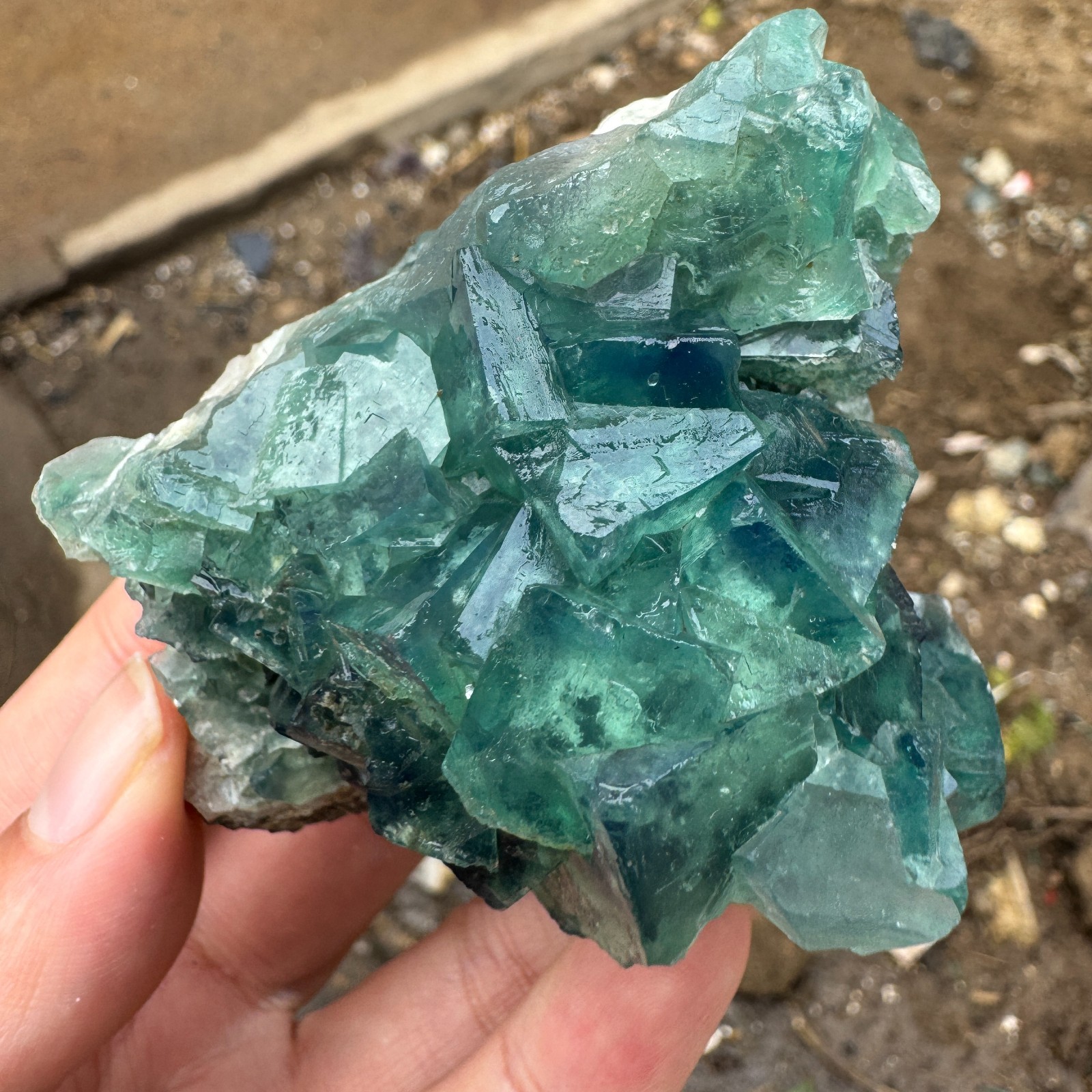 220G Natural cubic green fluorite crystal cluster rough mineral specimen Healing