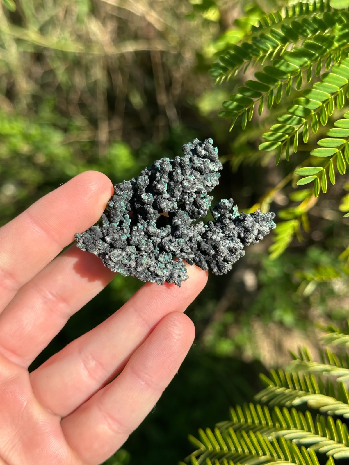 Malachite, Tenorite and Calcite over Native Copper, Mt Elliot, Qld, Australia.