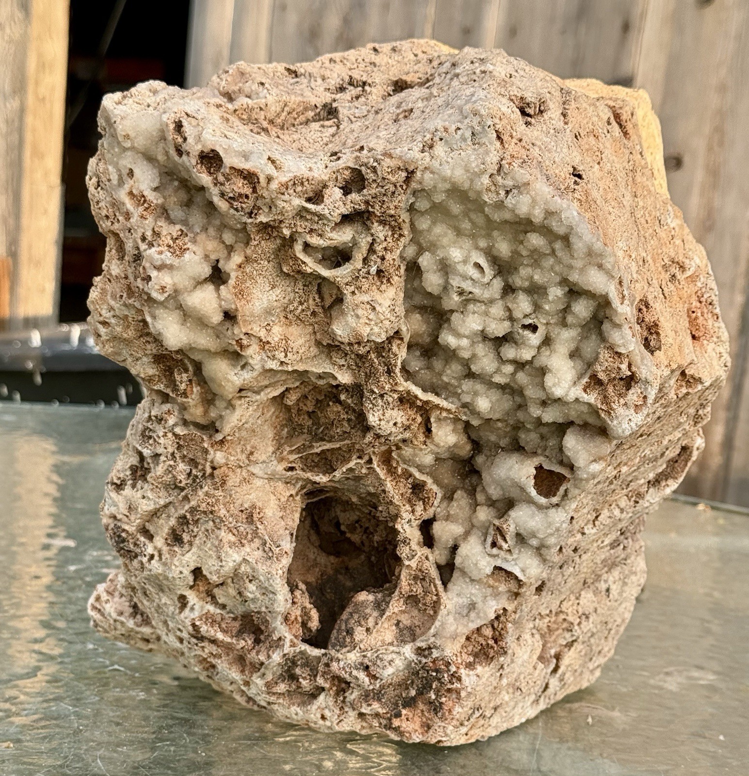 30# Crystal Encrusted Fossil Reef Rock ~Beautiful Druzy Chalcedony~ Unique Decor
