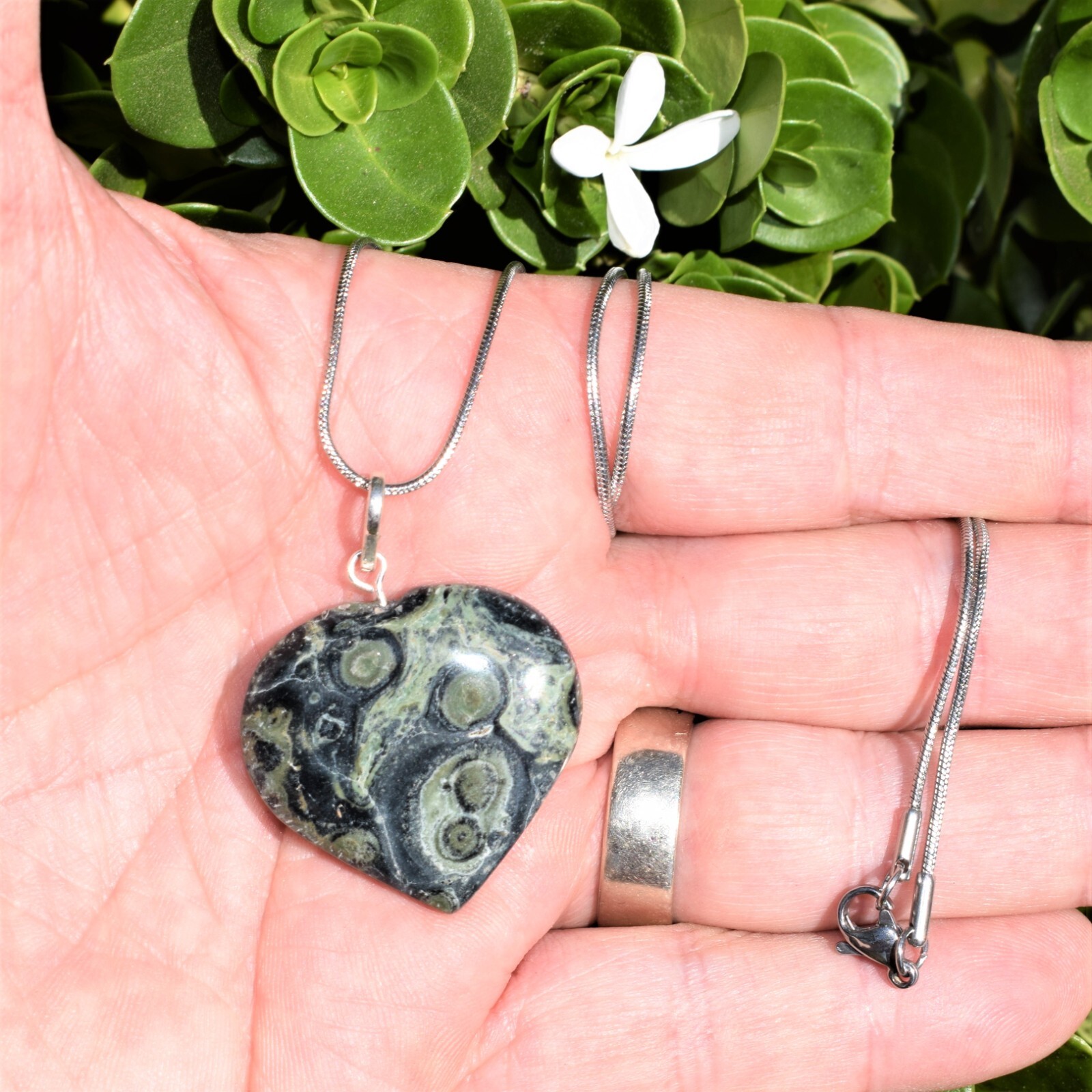 Charged Kambaba Jasper Heart Pendant + 20″ Chain + Selenite Heart