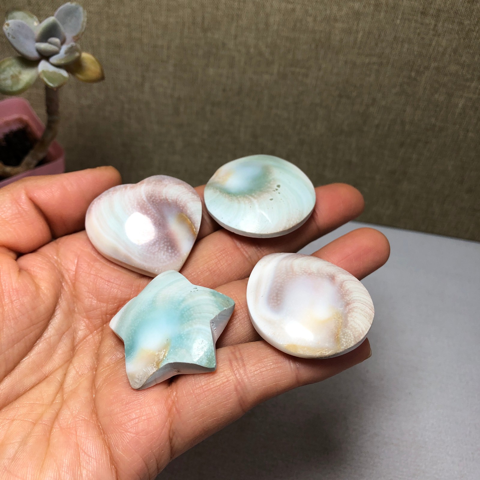 4pcs Rare sun shell Reiki Shiva Eye ocean semi-precious stone 70g A2755